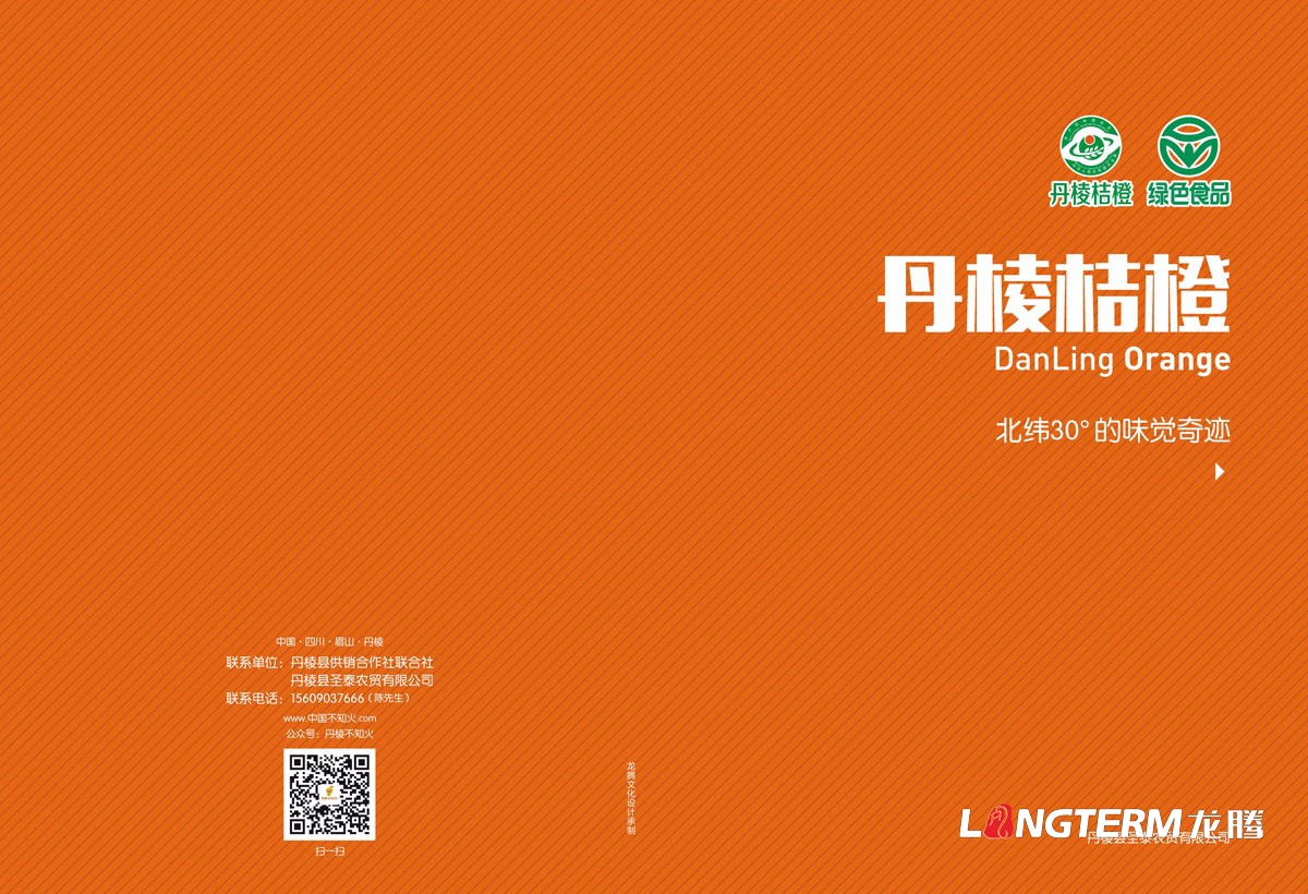 丹棱桔橙招商手册设计|水果桔橙不知火春见清见爱媛38号春香桔柚产品项目招商画册设计