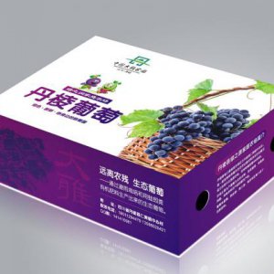 水果品牌策划公司：佳沛维持斗争优势的两个方面